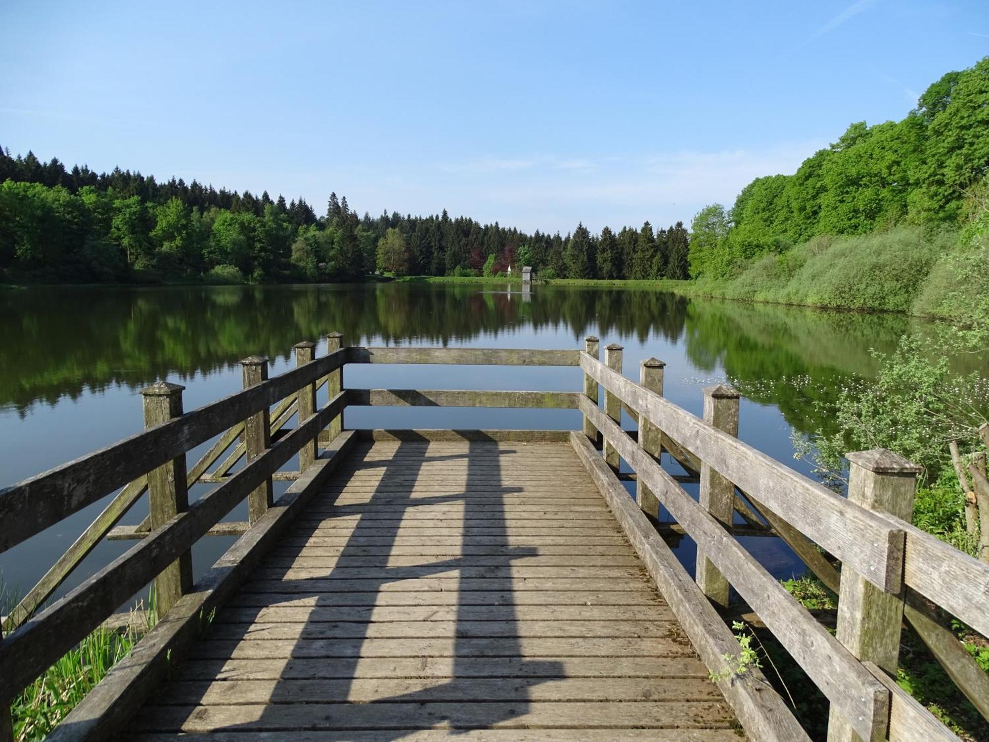 Chill Out Apartment Bergblick Goslar Esterno foto