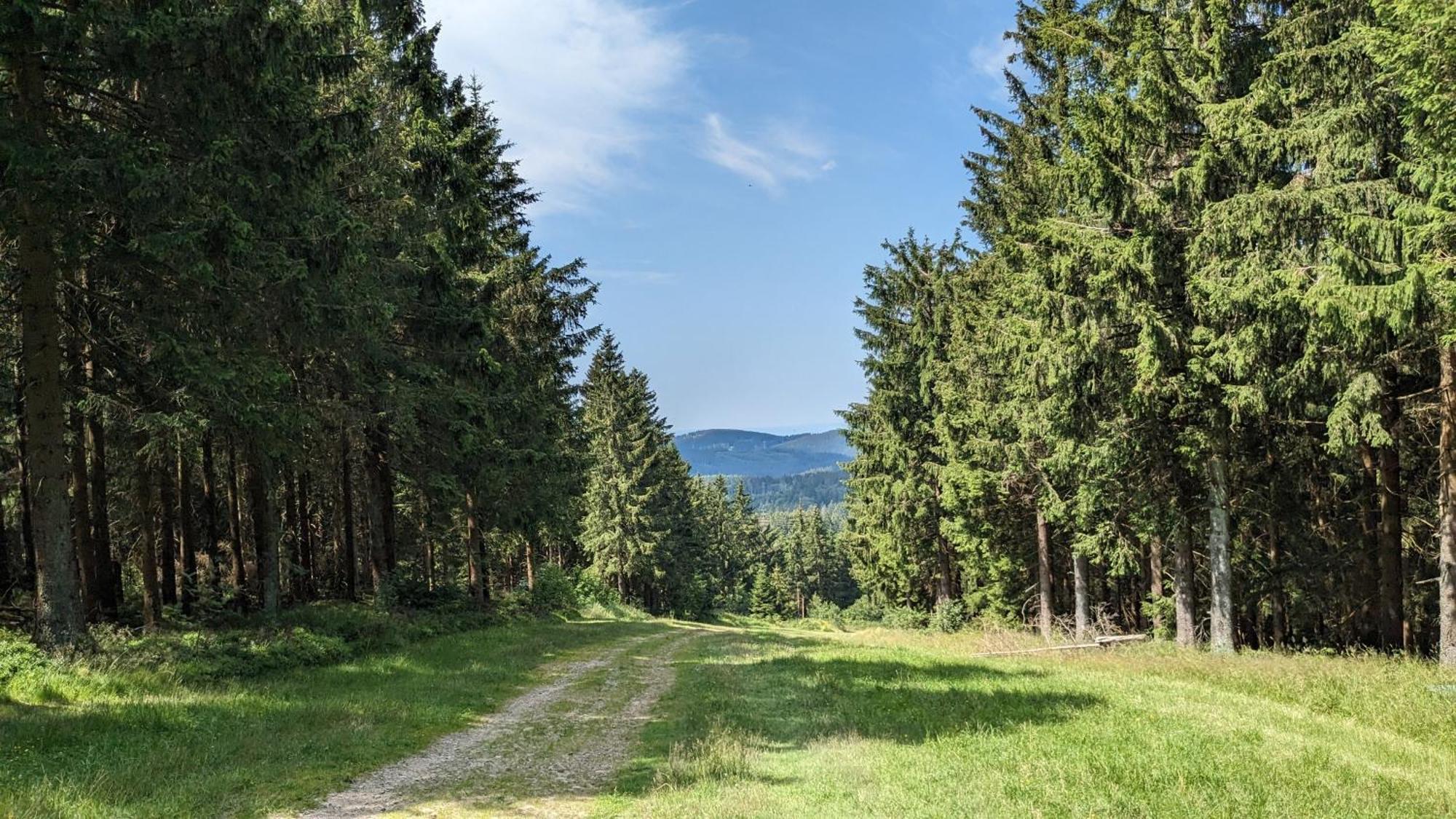 Chill Out Apartment Bergblick Goslar Esterno foto